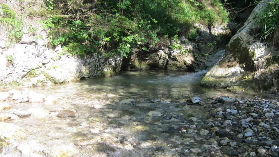 Clear and refreshing stream Hotenjka