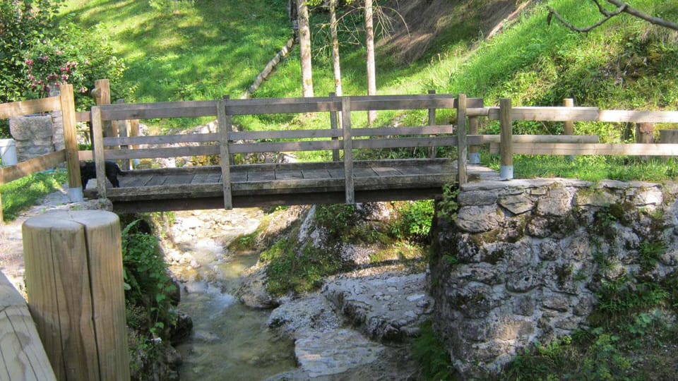 Bridge over the creek Hotenjka