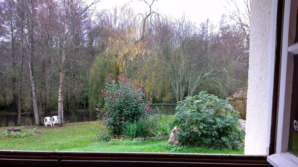 Kitchen Window View