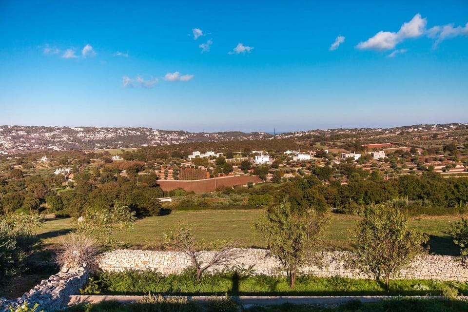 View from the terrace.