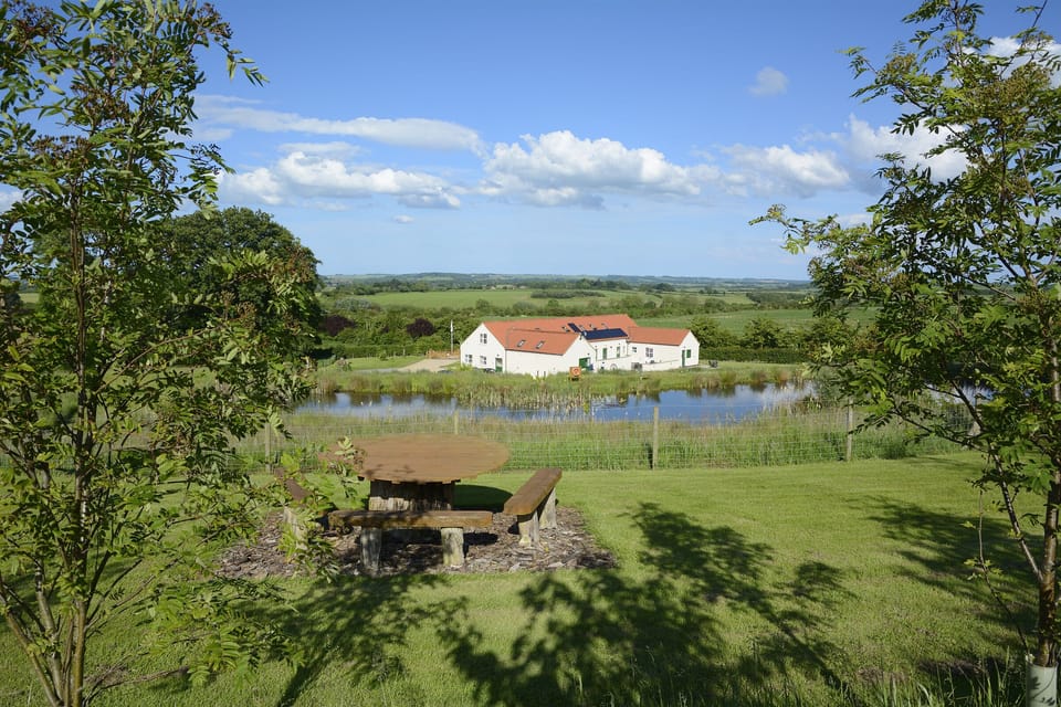 Picnic area overlooking the wildlife pond and Greetham Retreat.