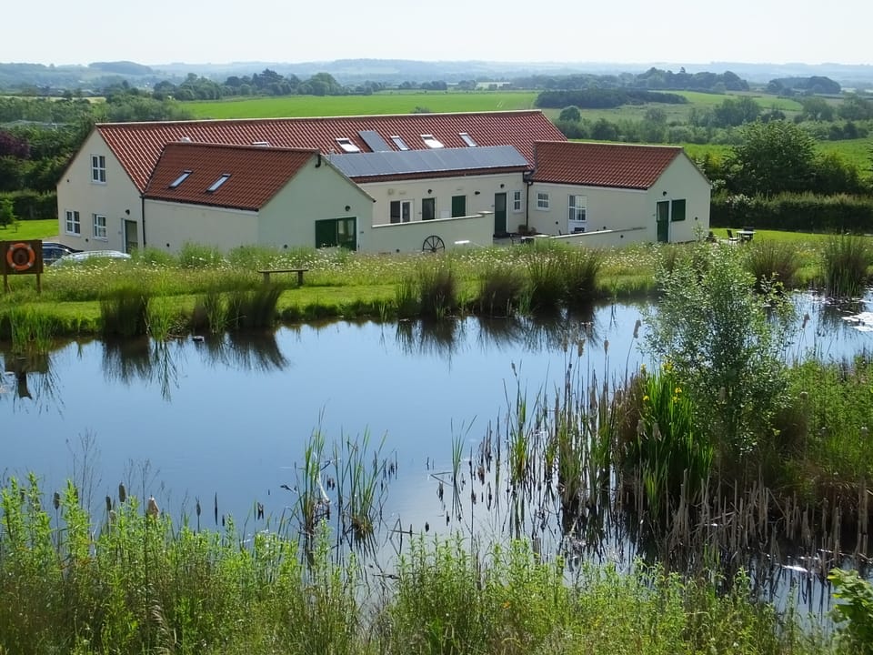 Wildlife pond in grounds of Greetham Retreat