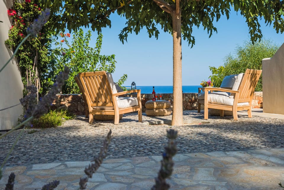 The Patio: the center of all social life on the property. Shaded all day long