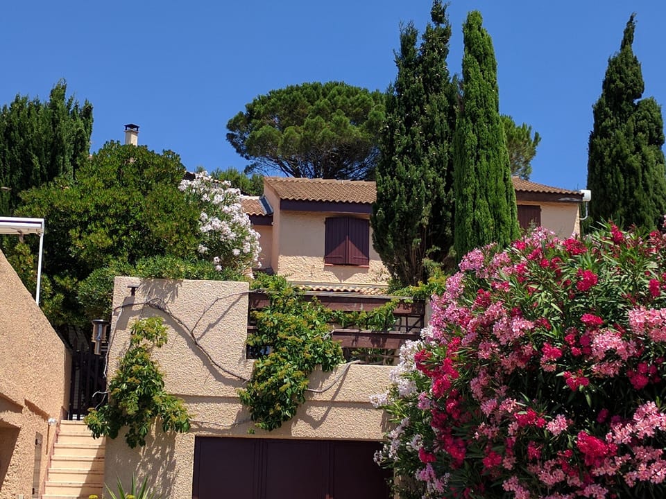 THE HOUSE IN ITS FLOWERED SURROUNDING