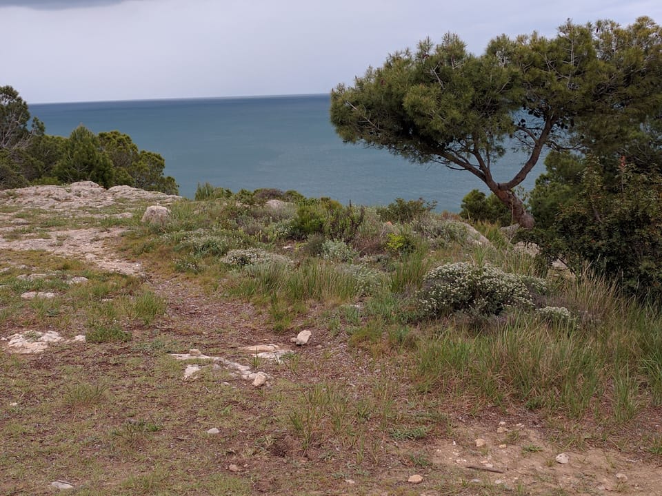 VIEW OF SURROUNDINGS