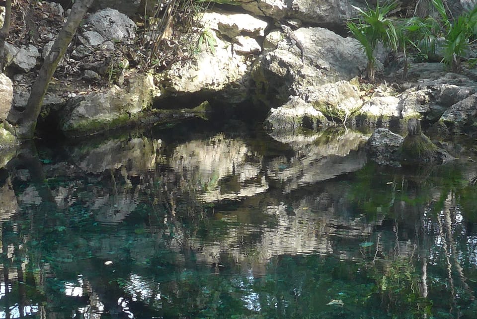 Local Cenote