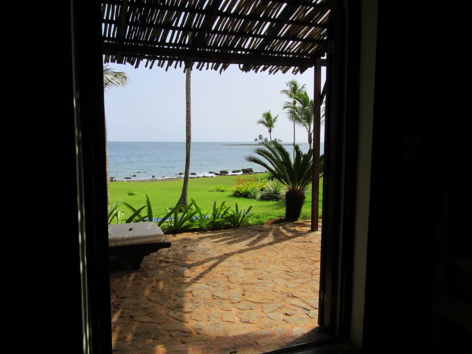 What a view from the guest room downstairs!