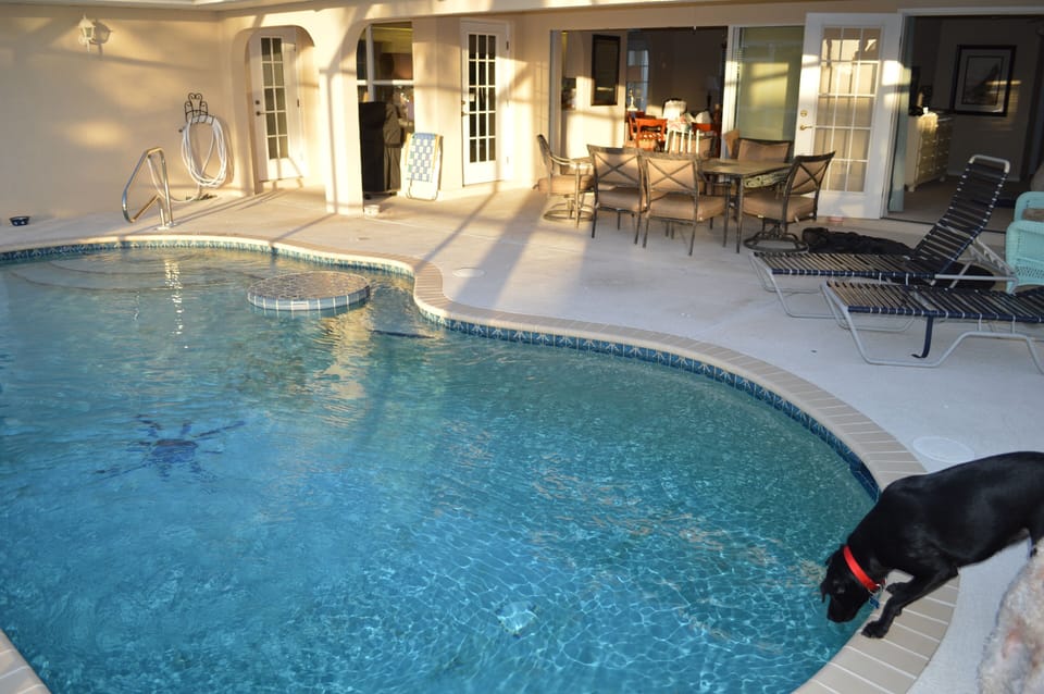 Heated pool with refreshment table: lanai in background