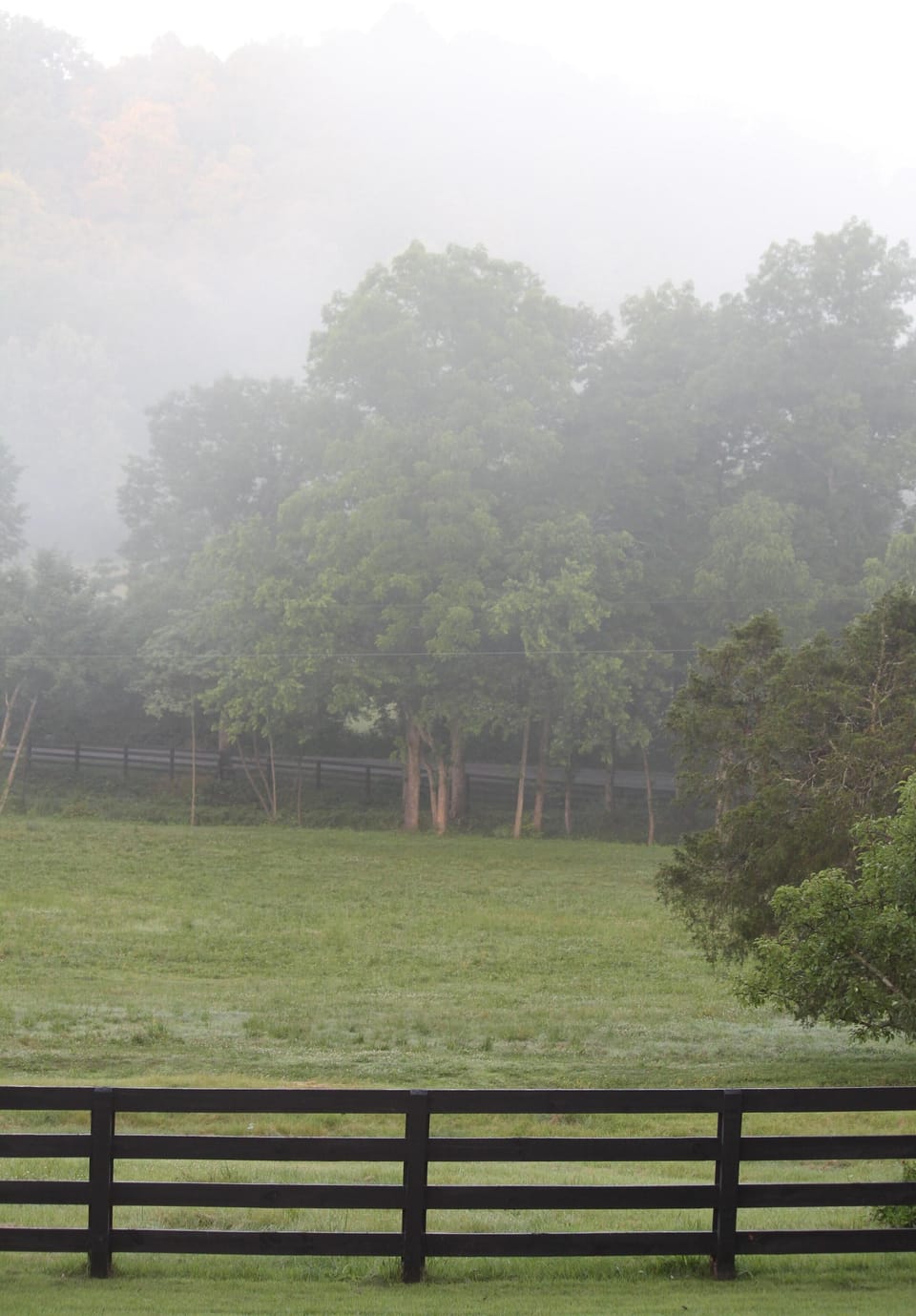 Summer time misty mornings