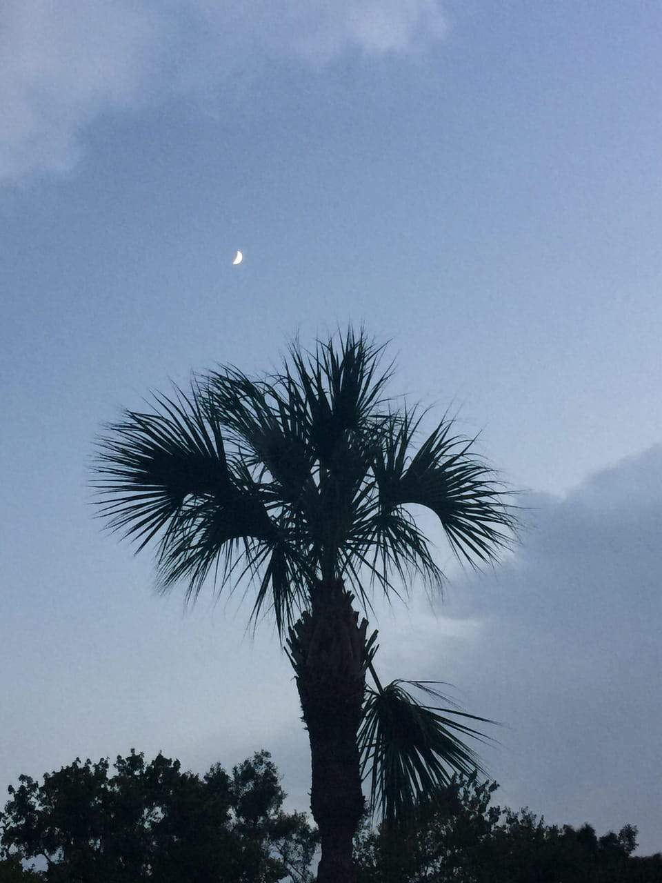SC State flag?  Almost!  Taken from the pool deck in early evening.