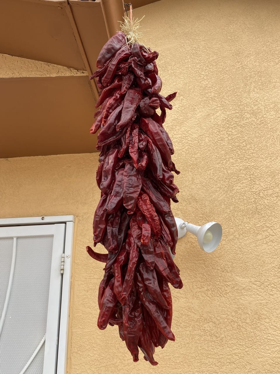New Mexico Ristra