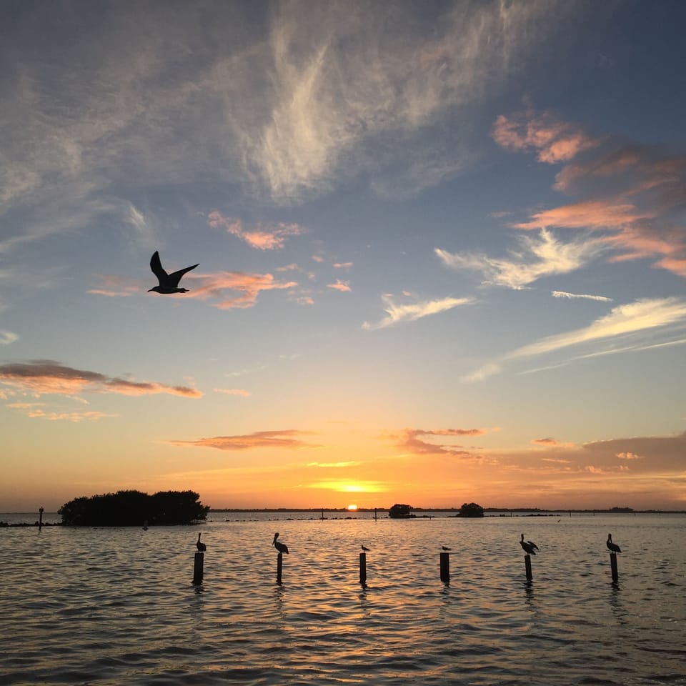 Sunset at the marina