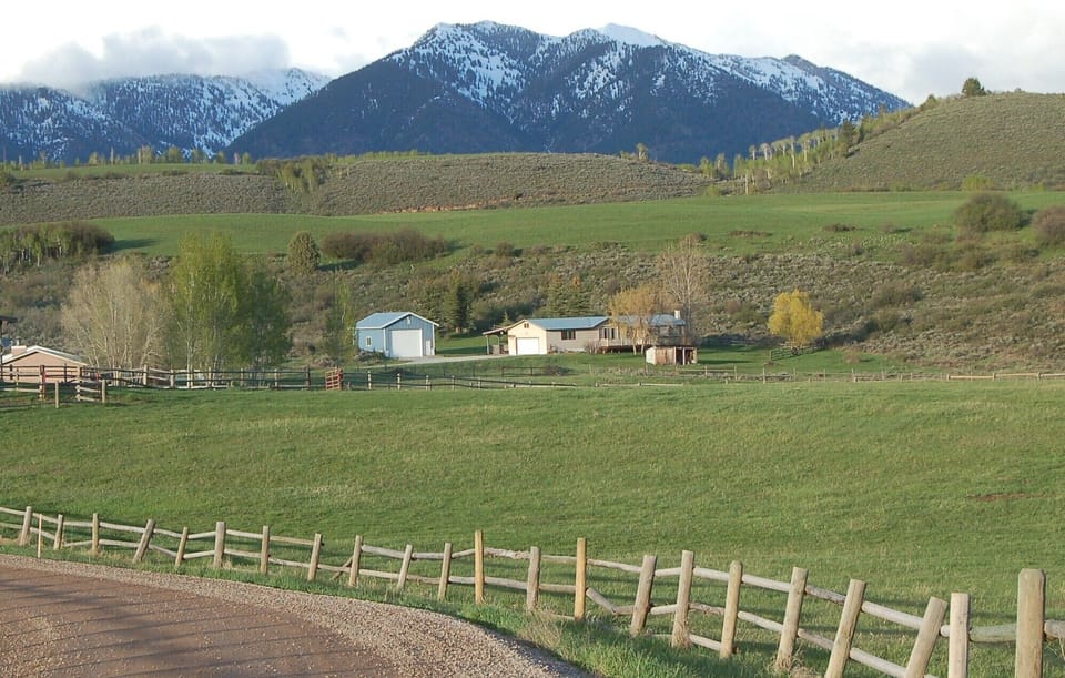 View of the house from the road.
