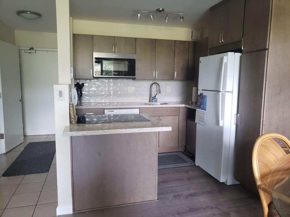 Kitchen, stove top and convection microwave.