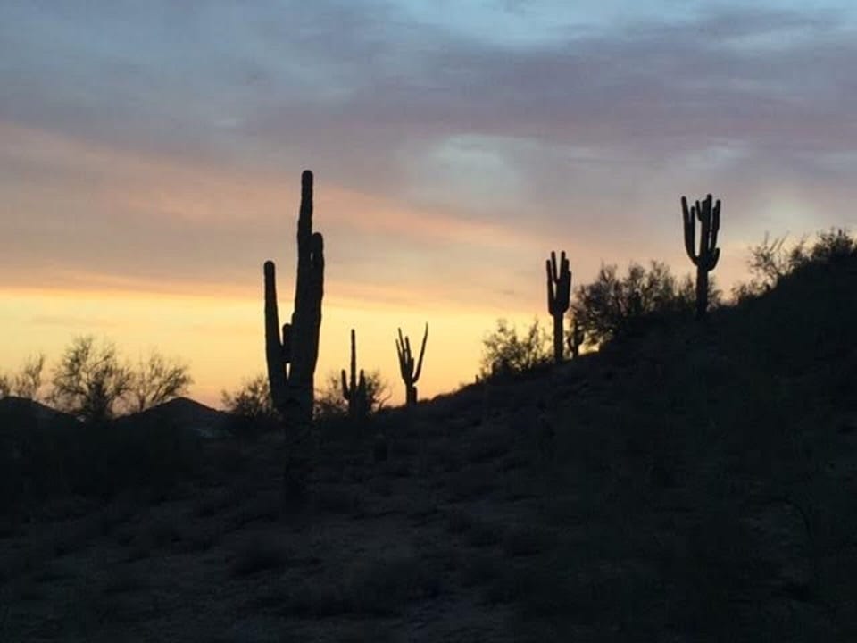 View from the 16th hole