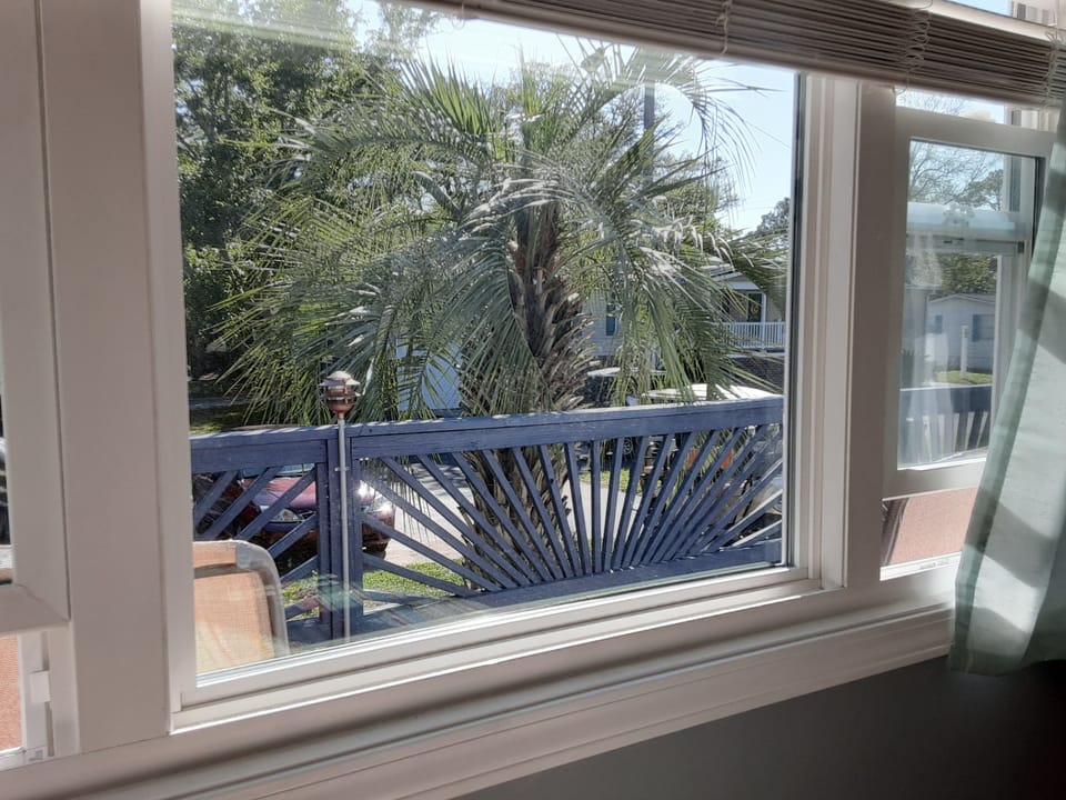 Bedroom #2 with beautiful palm tree view