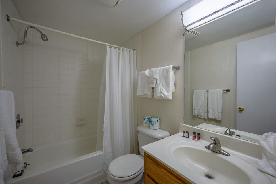 Bathroom 3 - lower level