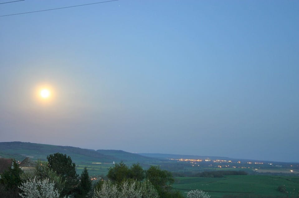 View from the garden
