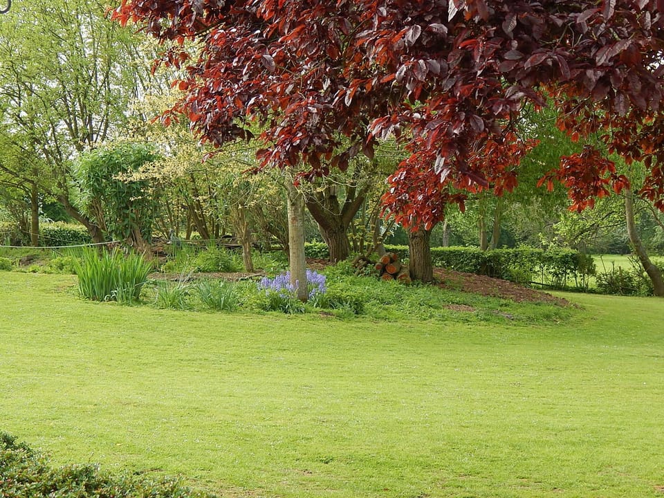 Middle lawn area.