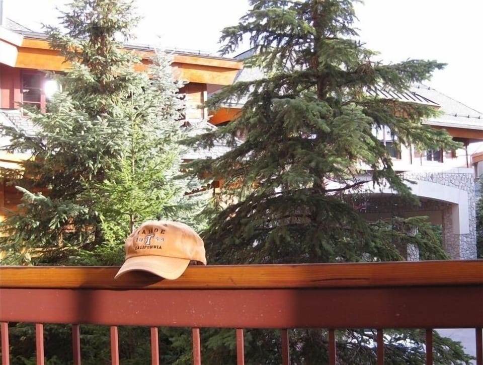 View from deck.