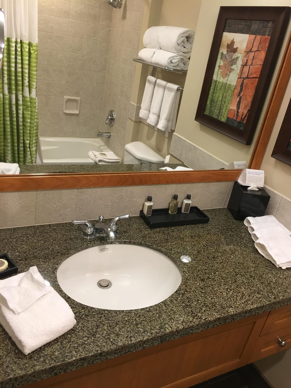 Bedroom Bath - Tub and Shower