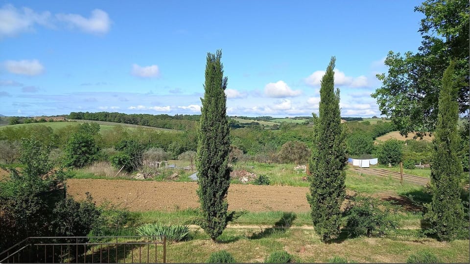Cloud, Plant, Sky, Natural Landscape, Terrestrial Plant, Tree, Grass, Evergreen, Landscape, Shrub