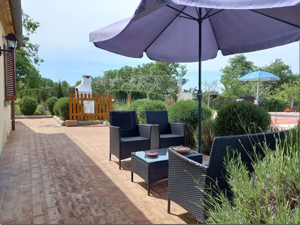 Plant, Sky, Umbrella, Shade, Tree, Building, Outdoor Furniture, Leisure, Landscape, Tints And Shades