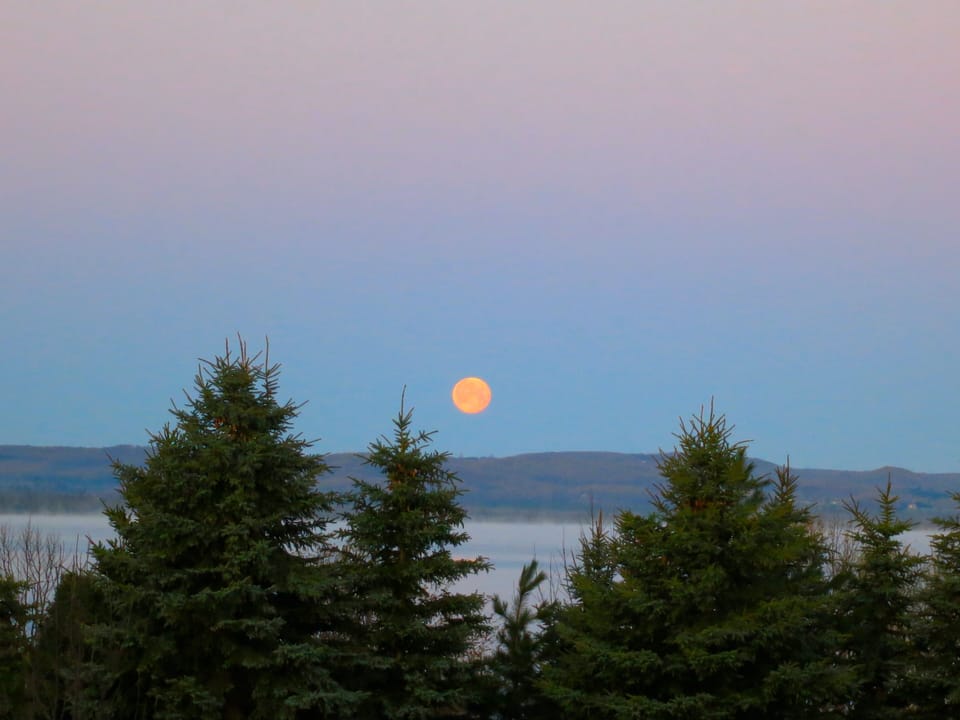       GOODNIGHT MOON!