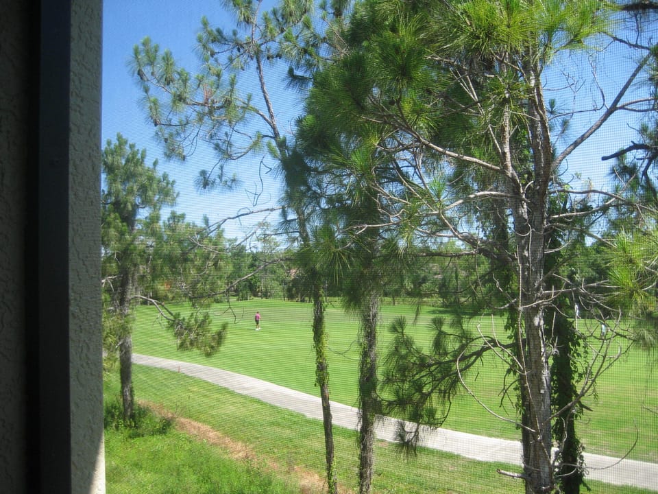 View from Lanai, Rookery #4