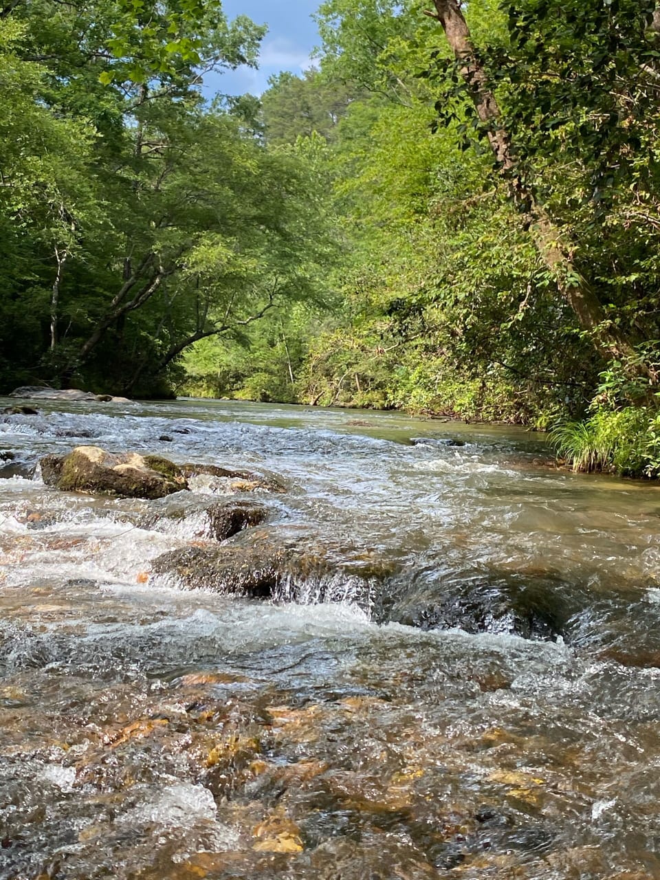 Pristine river on the property! 