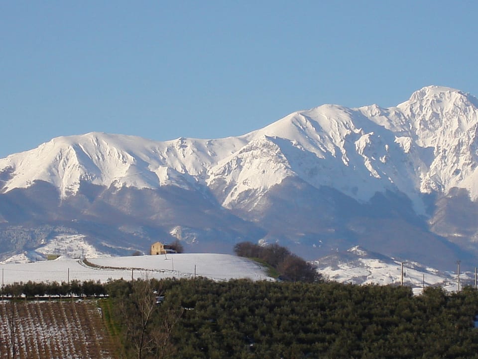 Winter view from the cottage