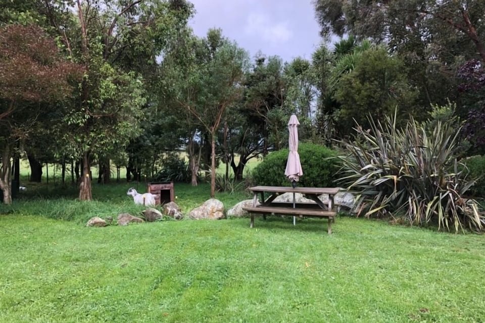 Outdoor area