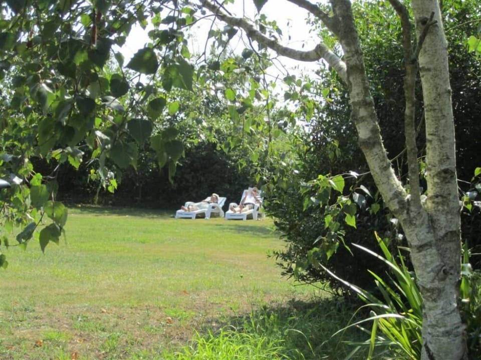 Garden, Park
