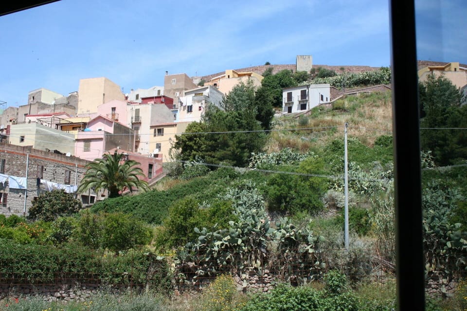 View from the house
