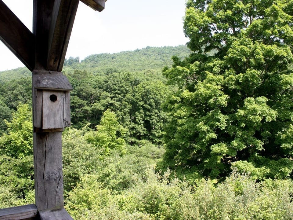 View from property
