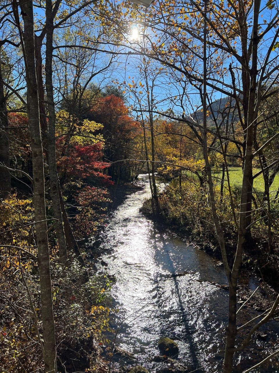 Once you experience this type of beauty you’re never quite the same. 