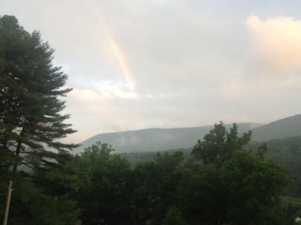 View from the deck