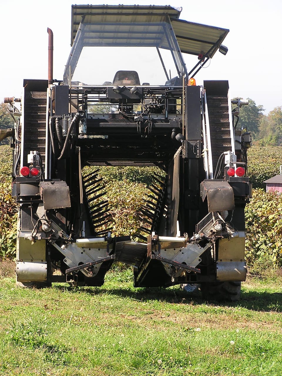 This is a modern mechanical grape harvester.  Sept & Oct vistors may see them.