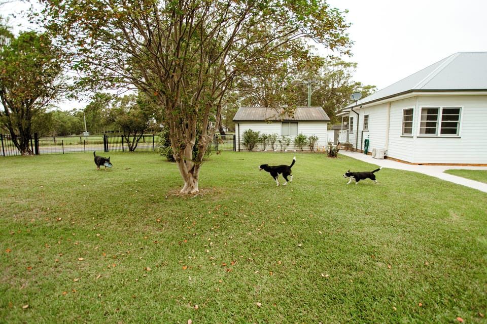 Property grounds