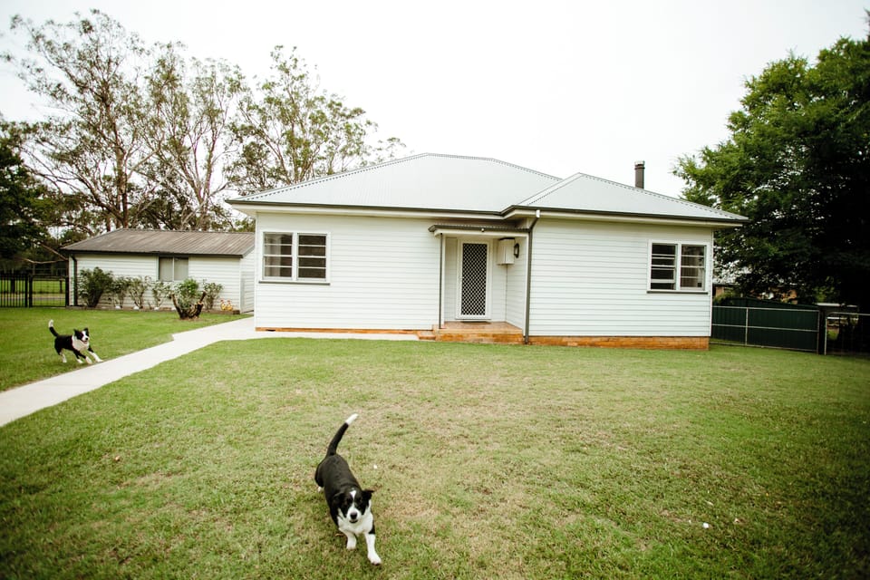 Heaps of rom in the secure front yard for the puppies to run around.