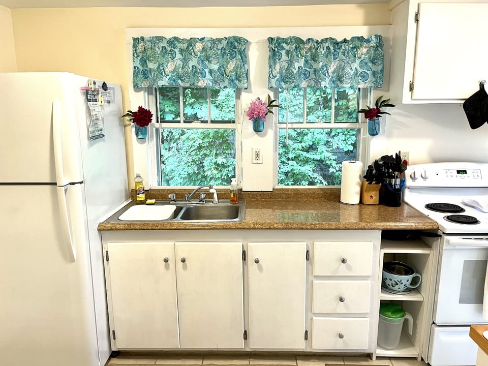 Bright cheerful kitchen with NEW fridge. and fresh flower window jars.  