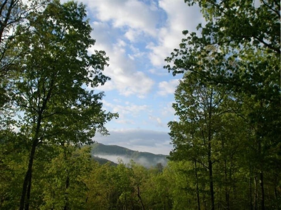 View of Smokey Mountains from Front Porch