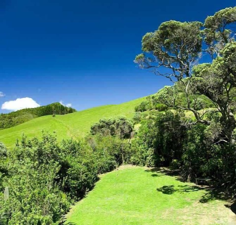 Backyard mountain views