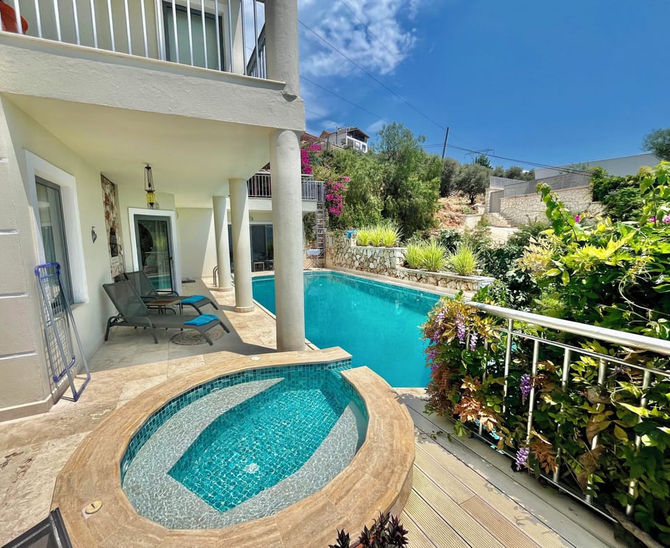 Pool jakuzzi and semi-shady sunbathing area
