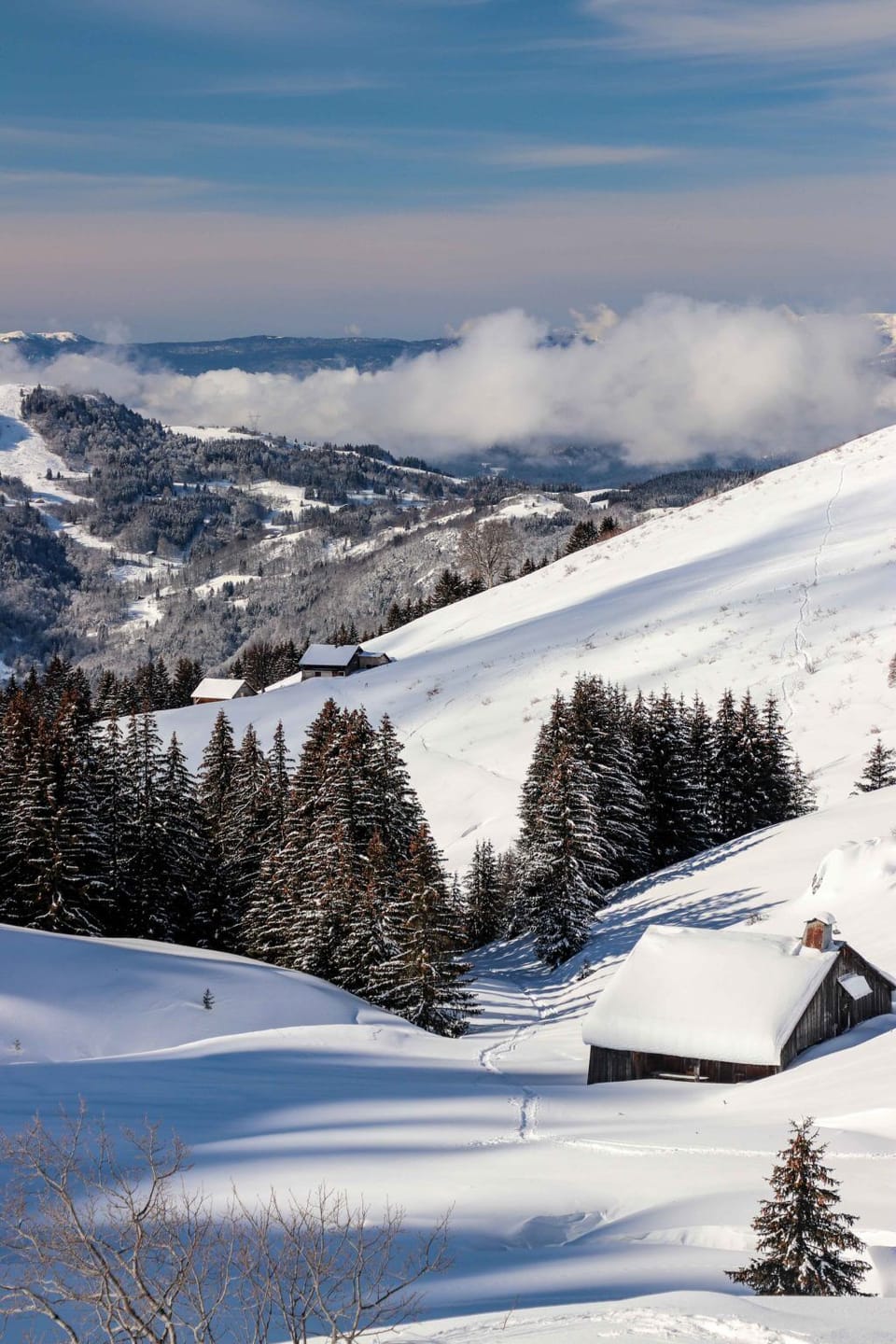 Snow and ski sports