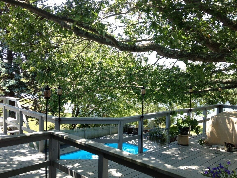 Another view of the pool from the upper deck area