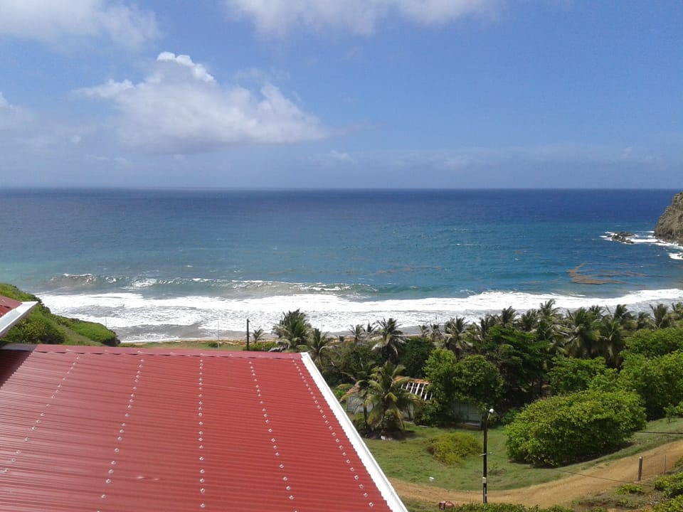 Beach/ocean view