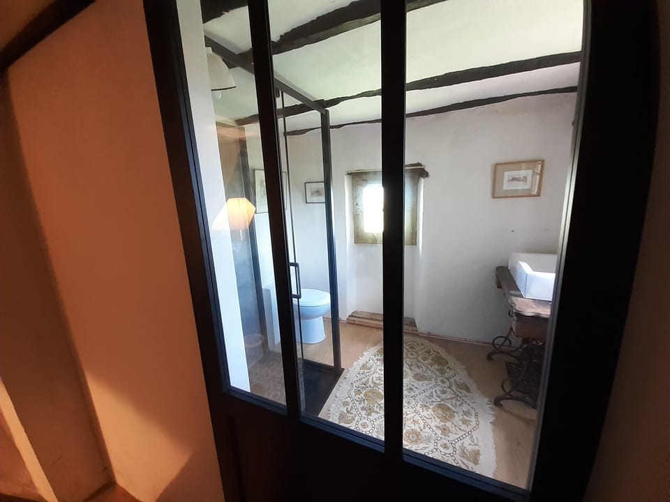 View into the new master bathroom with shower