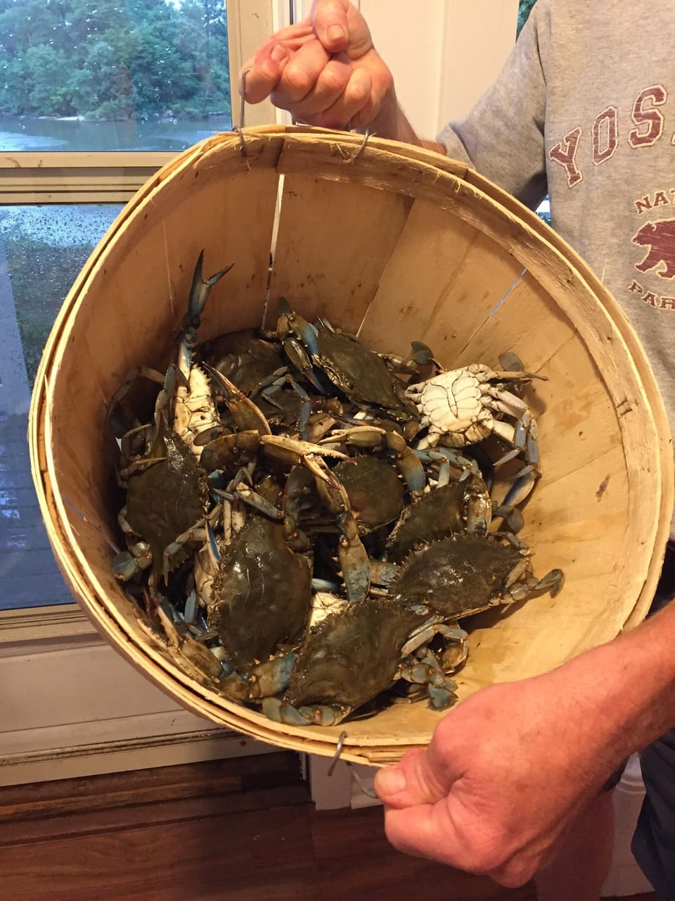 crabs for steaming. 
