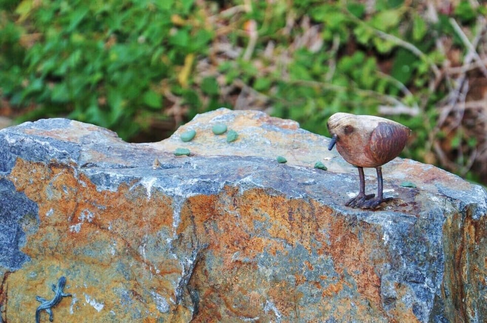 Art and nature.